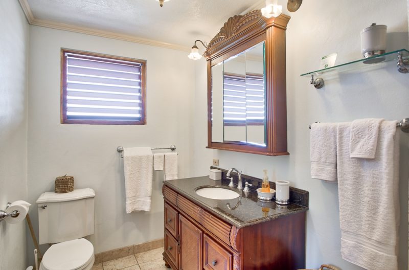 Buttonwood Reef and Sea Biscuit - Visit Jamaica Villas
