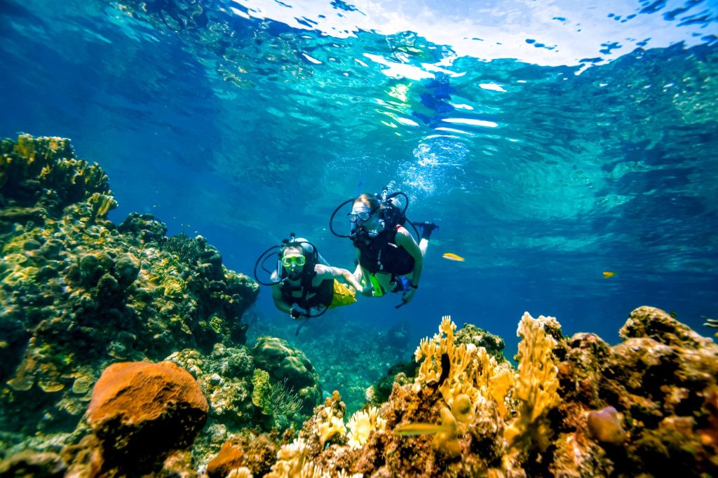 Snorkeling and Diving Spots in Jamaica